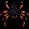 Lighted Spider Halloween Decoration - 4.5' - Black and Orange - Purple LED Lights